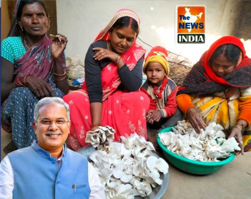Sonmati is writing a new story of self-dependence ,Earned Rs 7 lakh by cultivating mushrooms