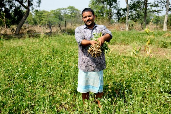 Successful Shift: Farmer Shri Laxmi Jaiswal's transition from paddy to groundnut cultivation amplifies income
