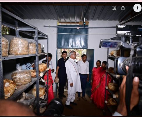 C M bhuesh baghel  inspected mushroom production and lac processing training unit in Gandhi Gram